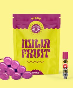 Ninja Fruit